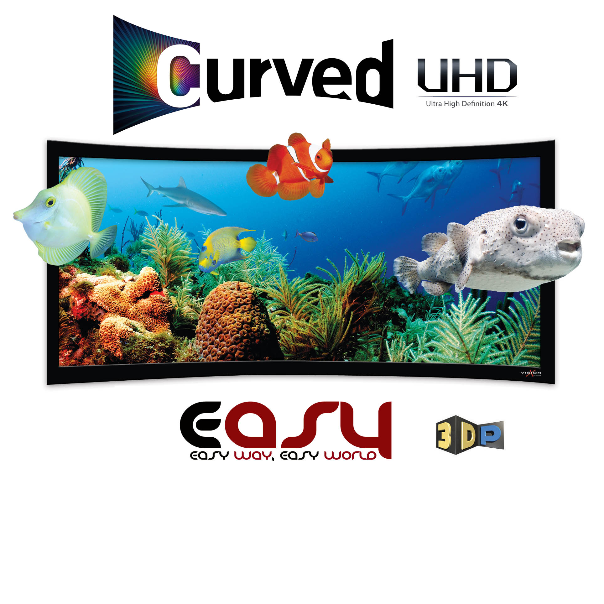 Màn chiếu cong EASYSCREEN EA-92CW