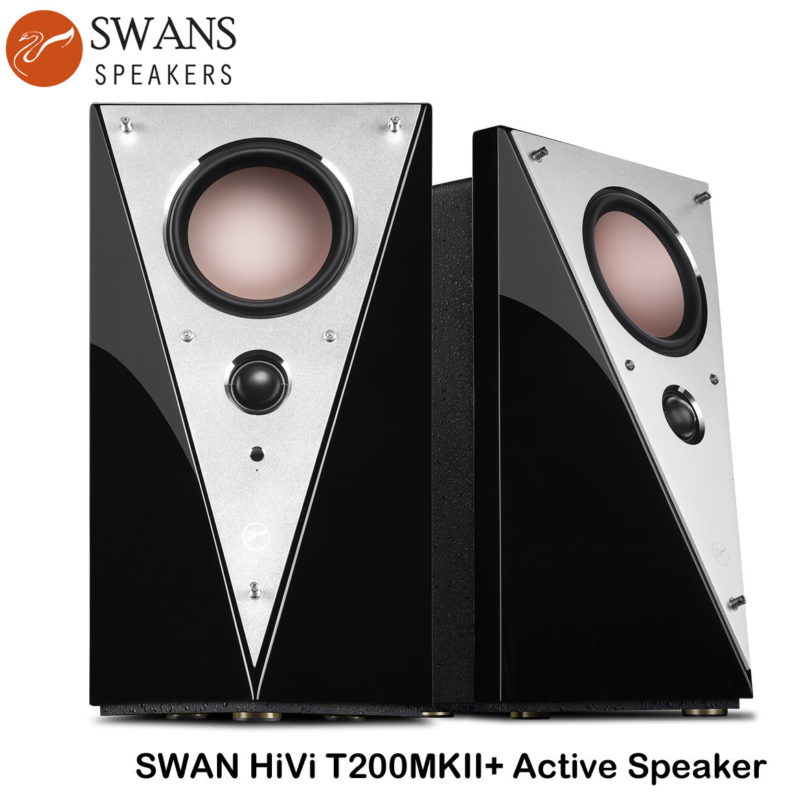 Loa SWAN T200MKII +