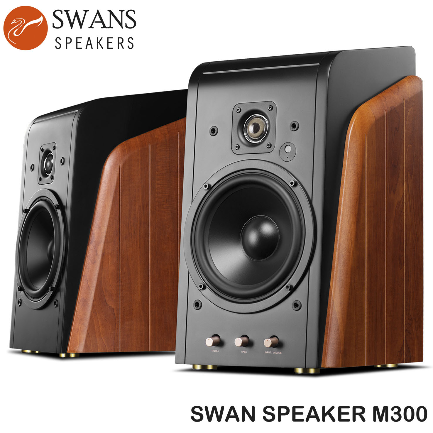 Loa SWAN HiVi M300 2.0 Active